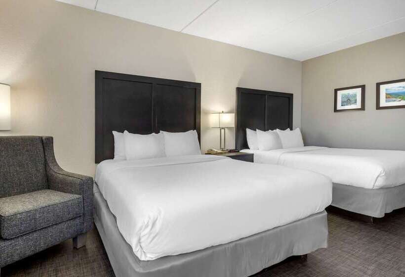 فندق Comfort Inn & Suites Greer  Greenville