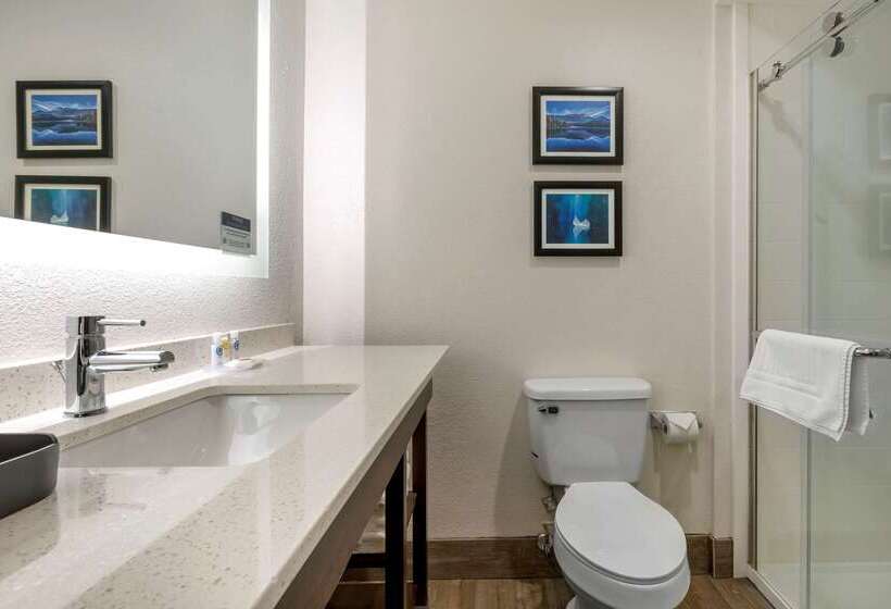 فندق Comfort Inn & Suites Greer  Greenville