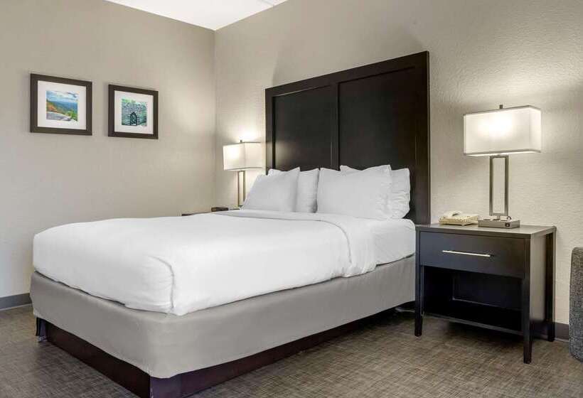 فندق Comfort Inn & Suites Greer  Greenville