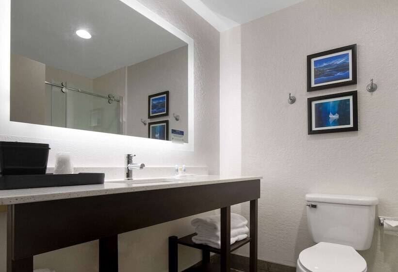 فندق Comfort Inn & Suites Greer  Greenville