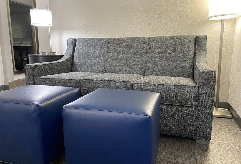 فندق Comfort Inn & Suites Greer  Greenville