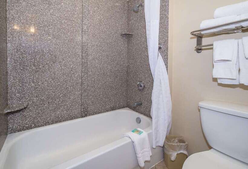 فندق Comfort Inn & Suites Maingate South