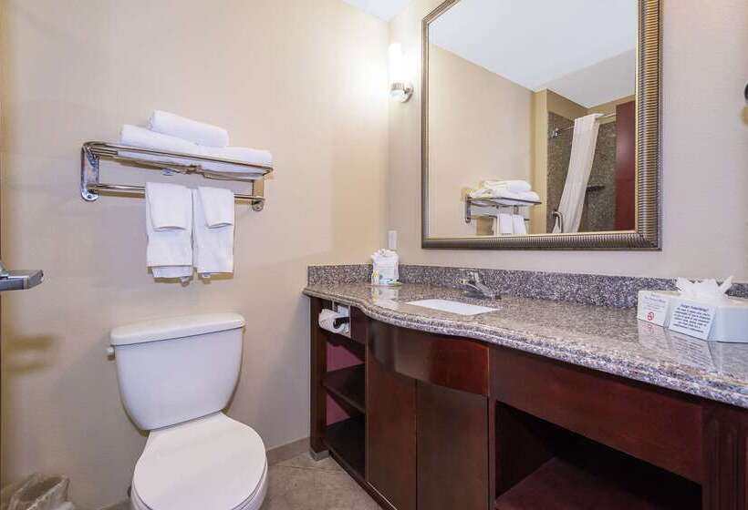 فندق Comfort Inn & Suites Maingate South