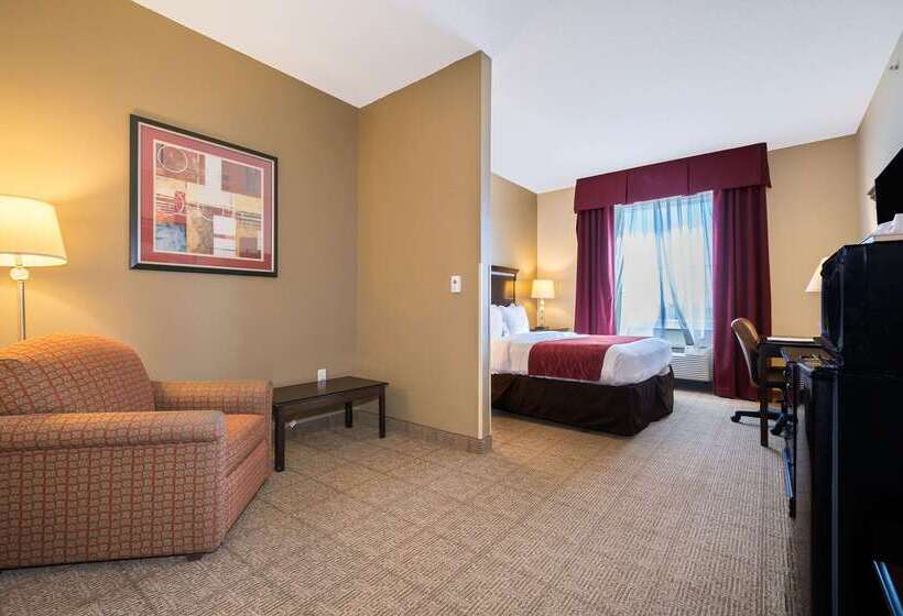 فندق Comfort Inn & Suites Maingate South