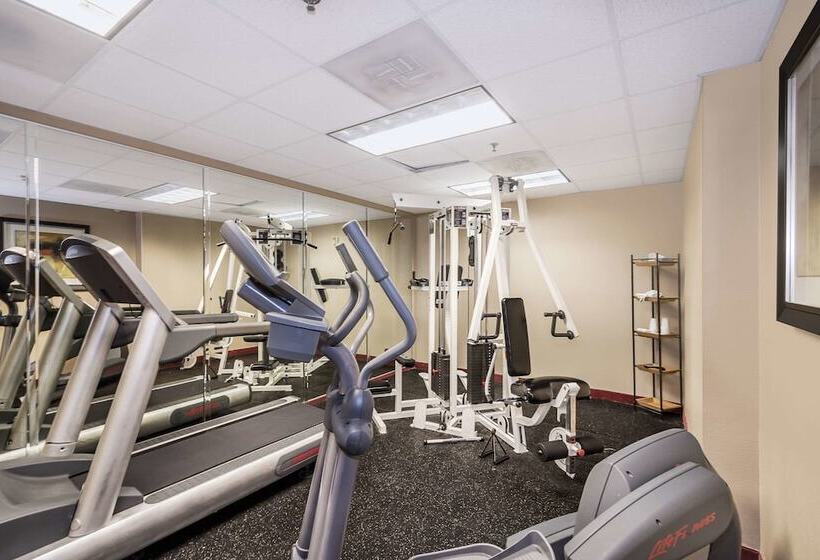 فندق Comfort Inn & Suites Maingate South