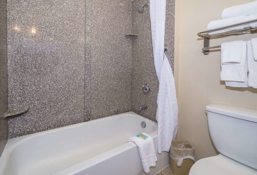 فندق Comfort Inn & Suites Maingate South