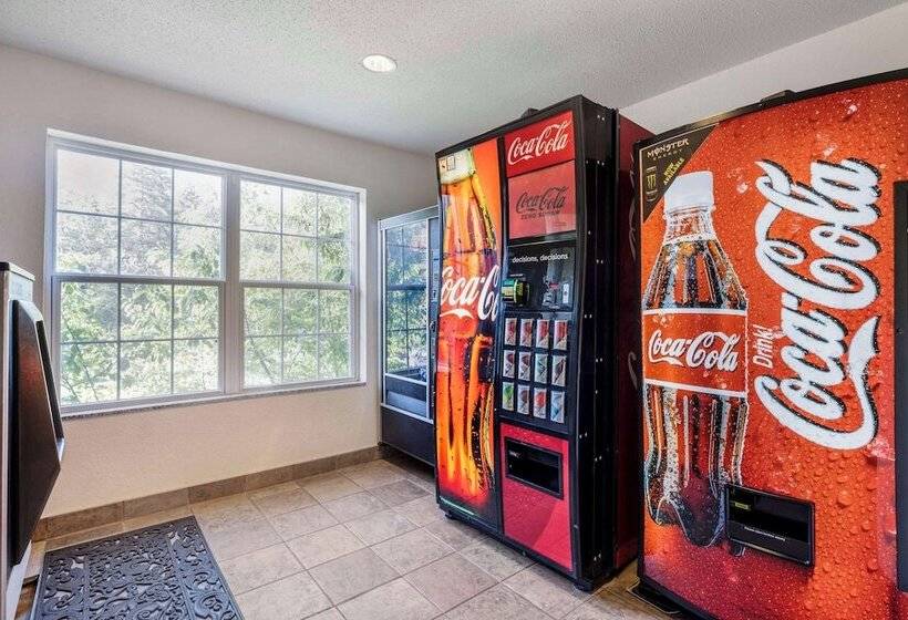 בית מלון כפרי Comfort Inn & Suites Mt. Rushmore