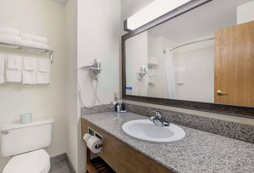 בית מלון כפרי Comfort Inn & Suites Mt. Rushmore