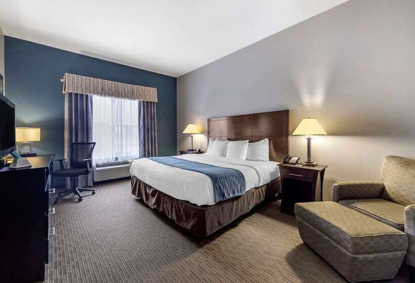 فندق Comfort Inn & Suites Oklahoma City West  I40