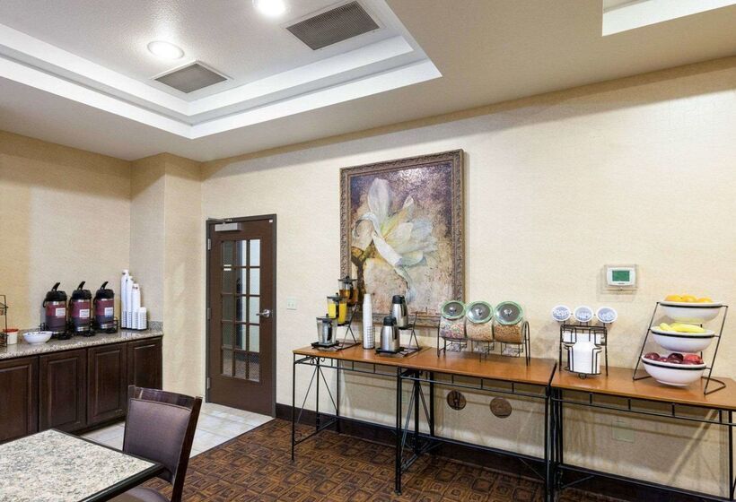 בית מלון כפרי Comfort Inn & Suites Regional Medical Center