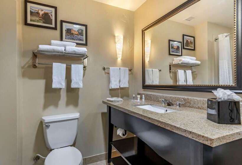 호텔 Comfort Suites Buda   Austin South