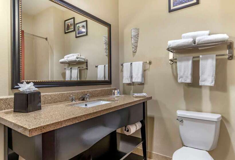 호텔 Comfort Suites Buda   Austin South