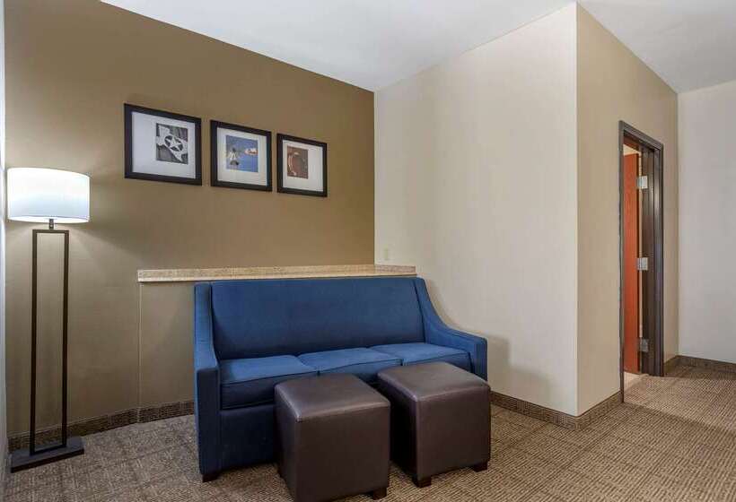 호텔 Comfort Suites Buda   Austin South