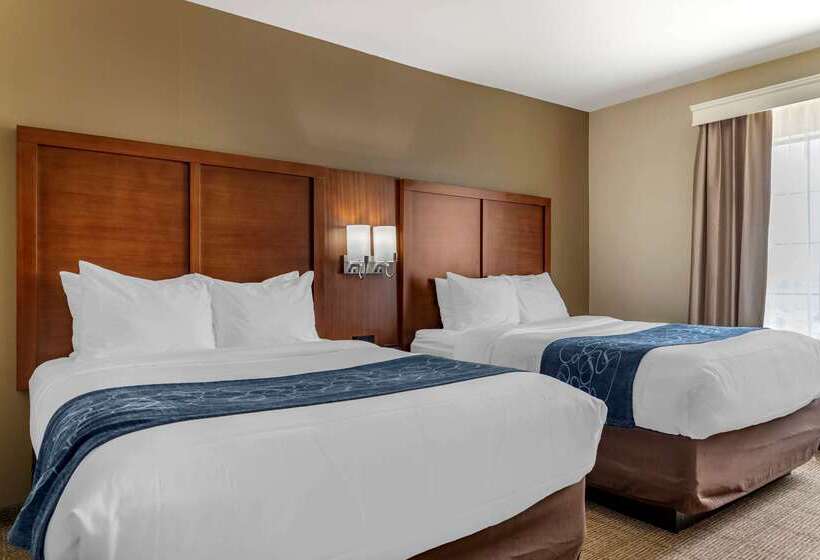 호텔 Comfort Suites Buda   Austin South