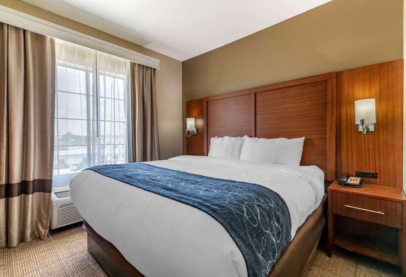 호텔 Comfort Suites Buda   Austin South