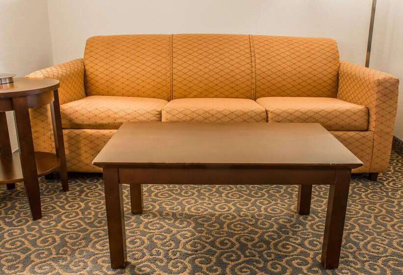 هتل Comfort Suites Huntsville Midcity District At Research Park