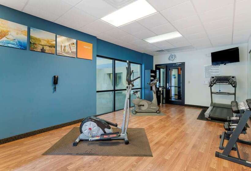 فندق Comfort Suites