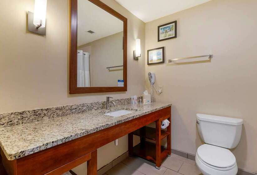 فندق Comfort Suites