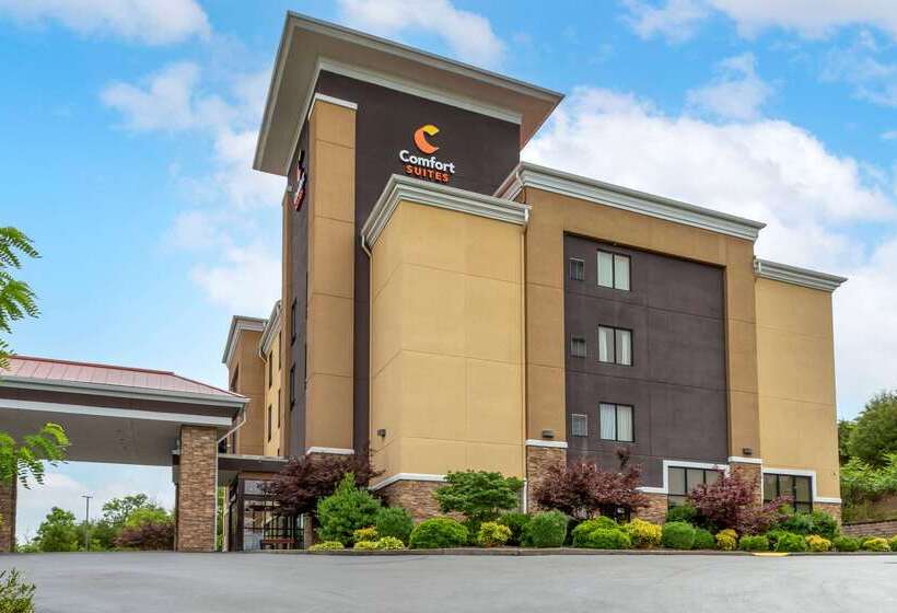 فندق Comfort Suites