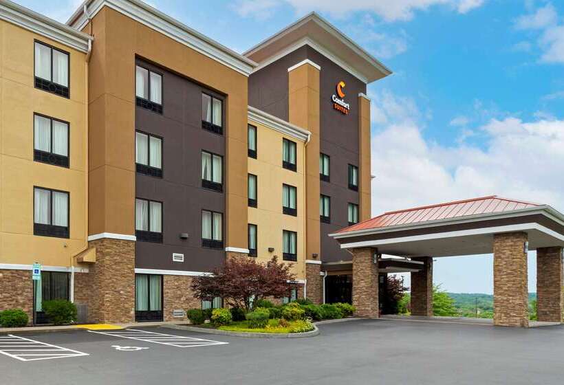 فندق Comfort Suites