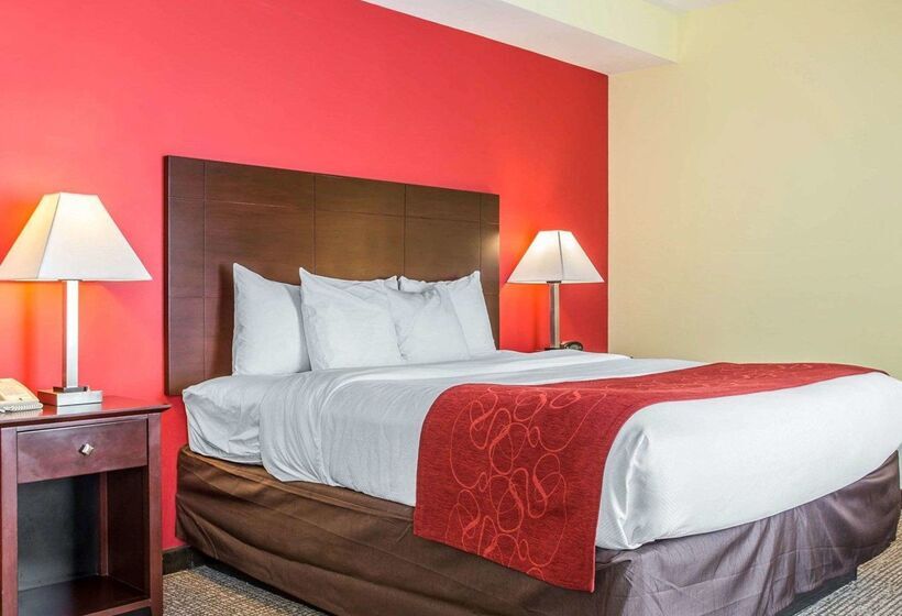 فندق Comfort Suites Rock Hill Manchester Meadows Area
