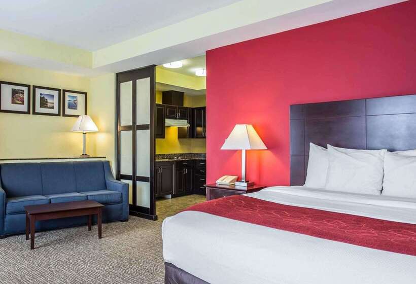 فندق Comfort Suites Rock Hill Manchester Meadows Area