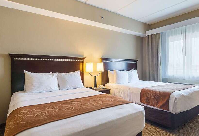 فندق Comfort Suites Beachside