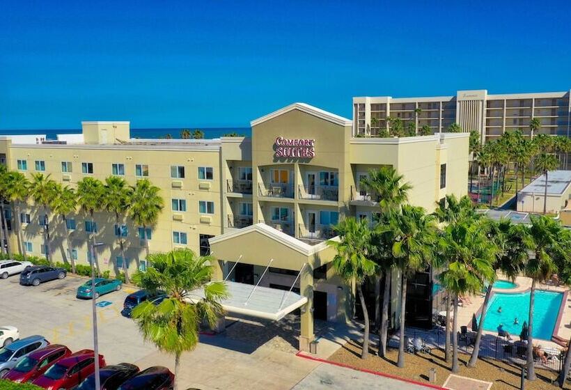 فندق Comfort Suites Beachside