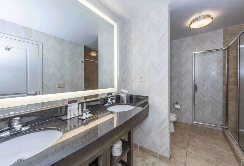 호텔 Doubletree By Hilton North Charleston Convention Center