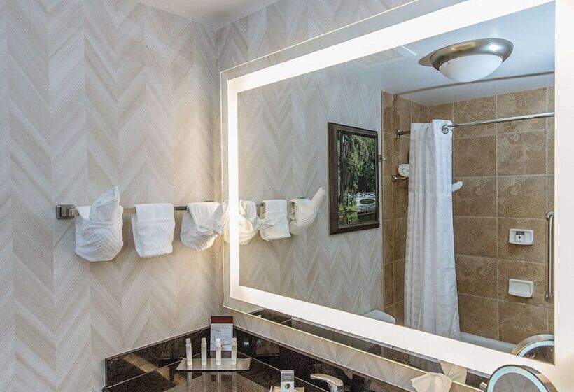 酒店 Doubletree By Hilton North Charleston   Convention Center