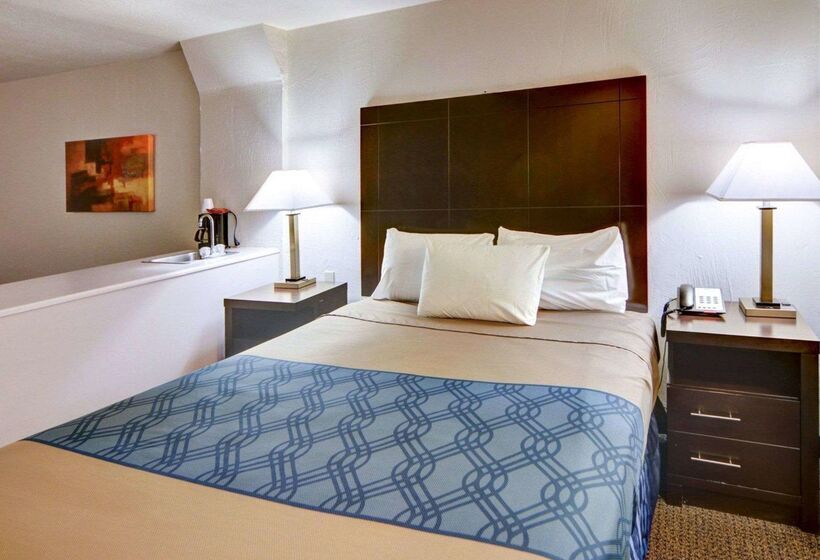 ホテル Rodeway Inn & Suites Lewisville I 35