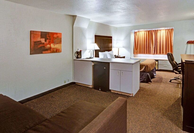 ホテル Rodeway Inn & Suites Lewisville I 35