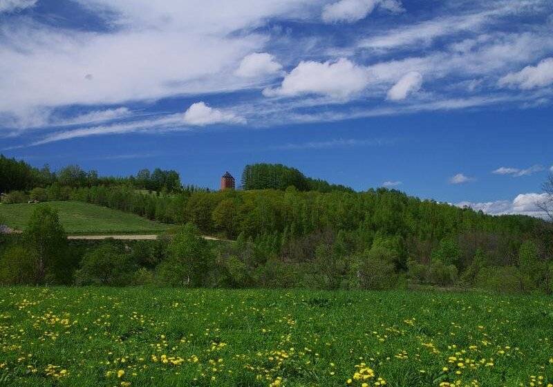 هتل Furano Resort Orika