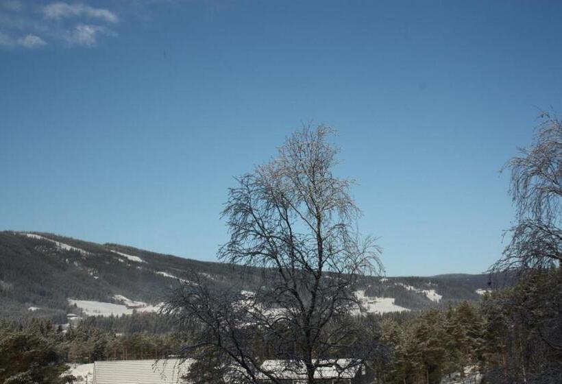 호텔 Furulund Pensjonat