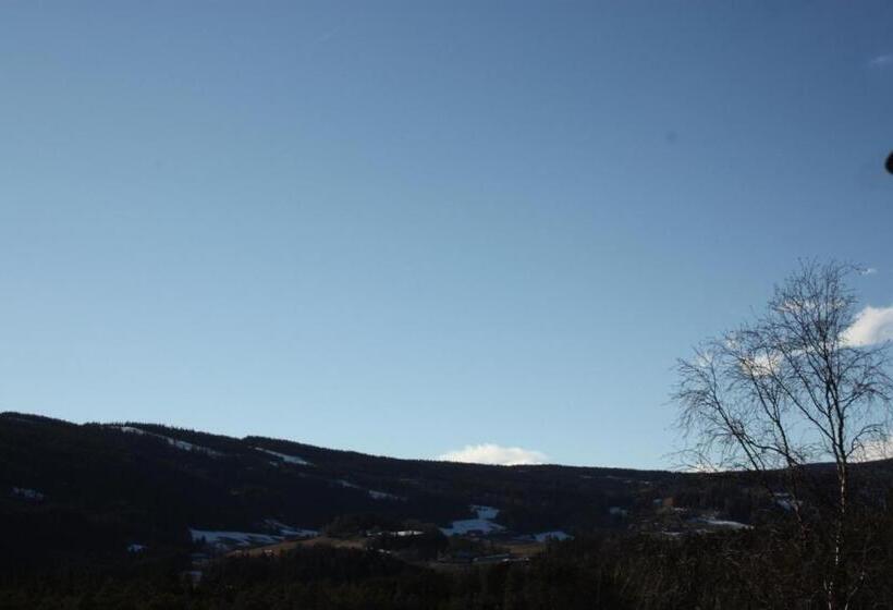 호텔 Furulund Pensjonat