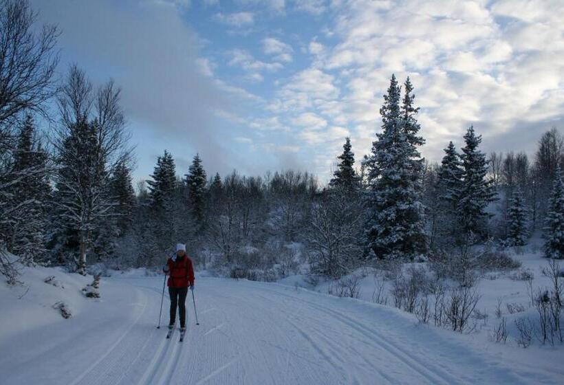 호텔 Furulund Pensjonat