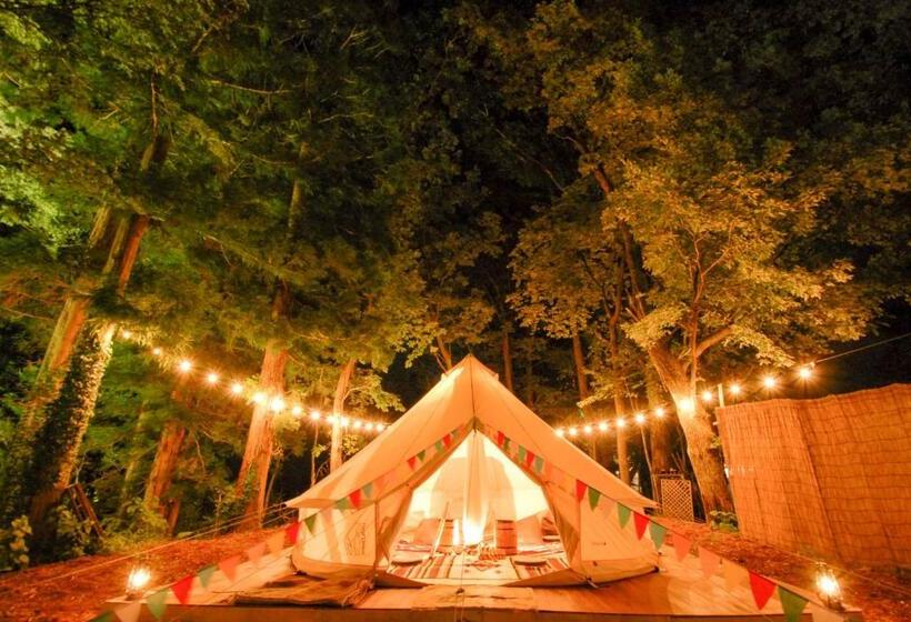 호텔 Hakuba Mominoki