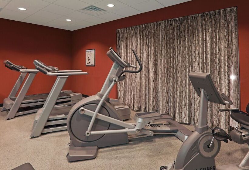 Holiday Inn Hotel & Suites Lima, An Ihg