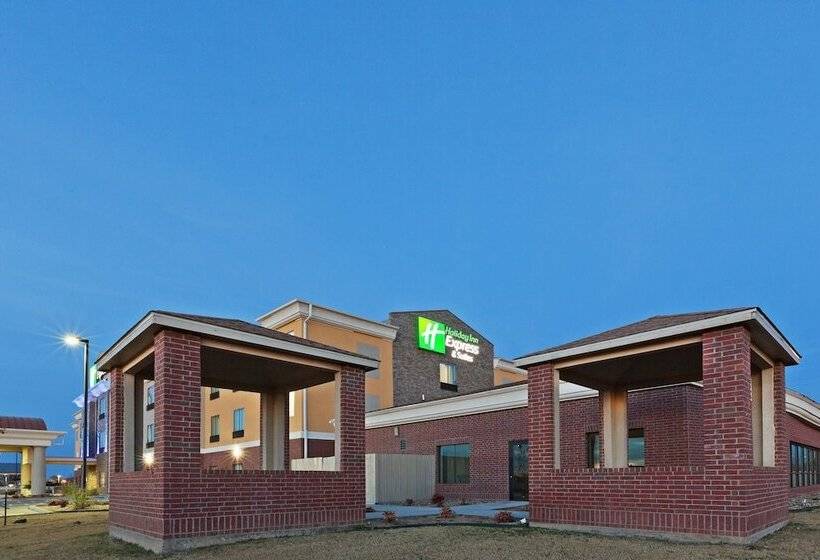 Holiday Inn Express Hotel & Suites Brownfield By Ihg