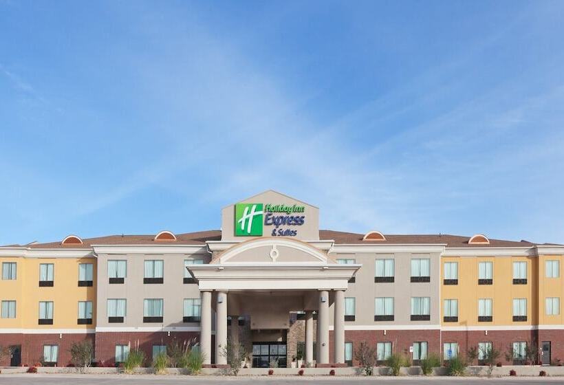 Holiday Inn Express Hotel & Suites Brownfield By Ihg