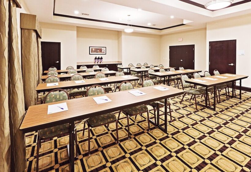 Holiday Inn Express Hotel & Suites Brownfield By Ihg