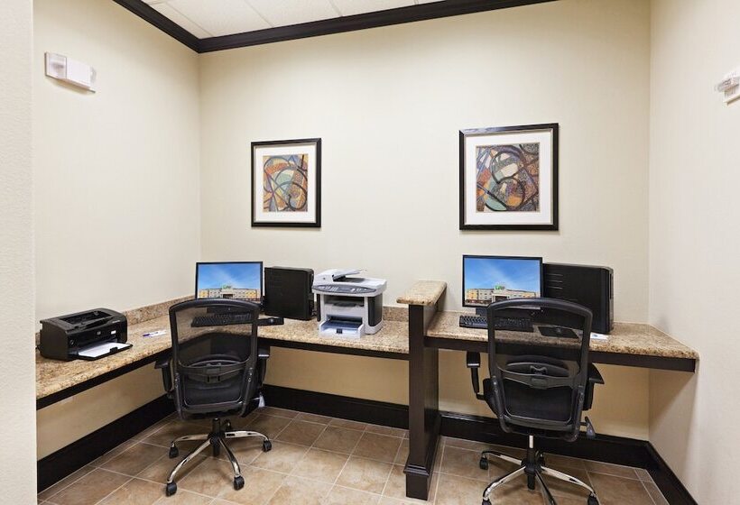 Holiday Inn Express Hotel & Suites Brownfield By Ihg