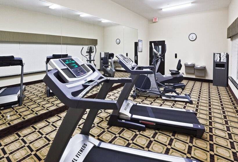 Holiday Inn Express Hotel & Suites Brownfield By Ihg