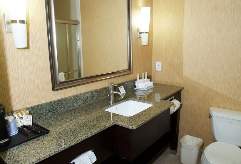 Holiday Inn Express Hotel & Suites Clemson   University Area, An Ihg