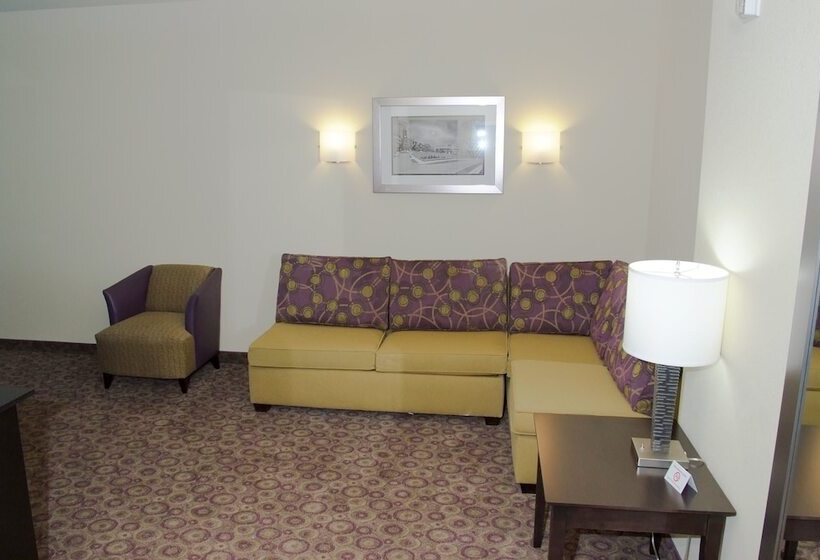 Holiday Inn Express Hotel & Suites Clemson   University Area, An Ihg