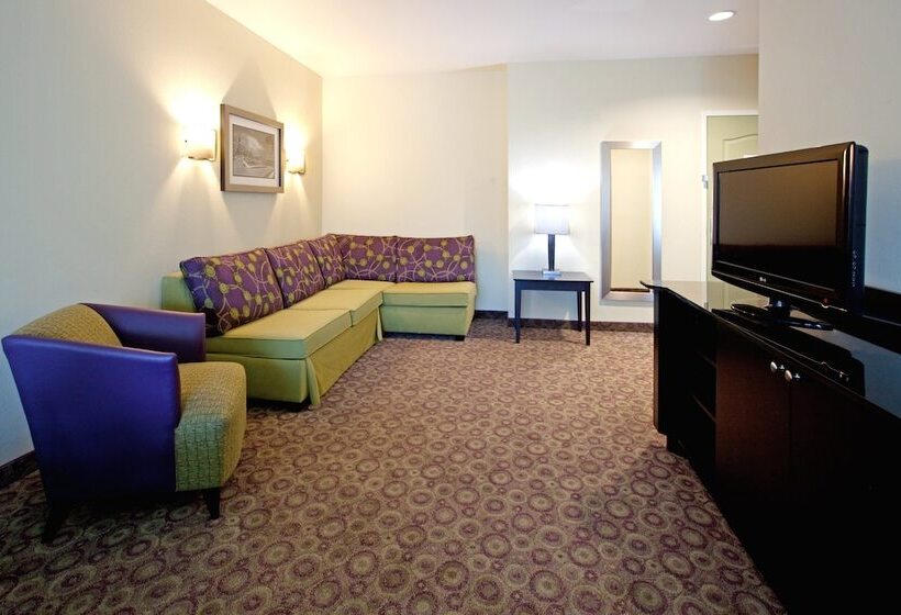 Holiday Inn Express Hotel & Suites Clemson   University Area, An Ihg