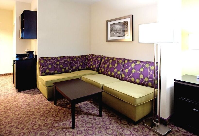 Holiday Inn Express Hotel & Suites Clemson   University Area, An Ihg