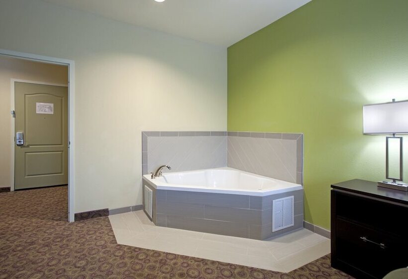 Holiday Inn Express Hotel & Suites Clemson   University Area, An Ihg