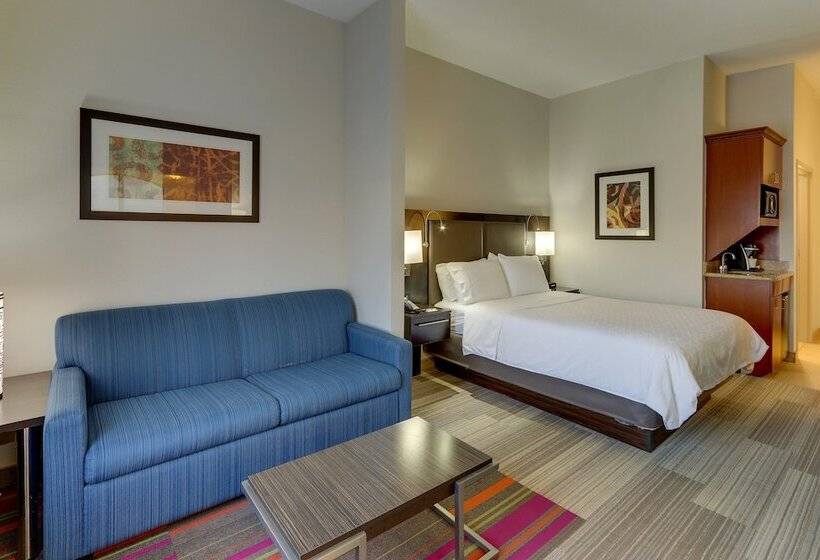 Holiday Inn Express Hotel & Suites Dayton Centerville, An Ihg