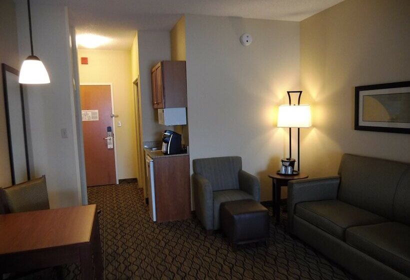 Отель Holiday Inn Express & Suites Lancaster By Ihg